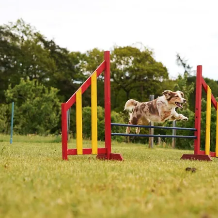 Hof Koehne - Haus Waltons 3er Schmallenberg