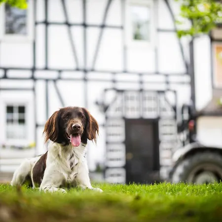 בית נופש Hof Koehne - Haus Waltons 3er *