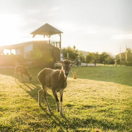 Vakantiehuis Hof Koehne - Haus Waltons 3er Schmallenberg