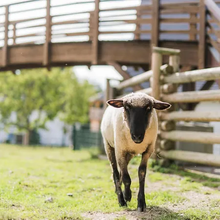 בית נופש Hof Koehne - Haus Waltons 3er *
