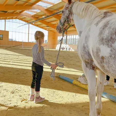 Hof Koehne - Haus Waltons 3er Schmallenberg