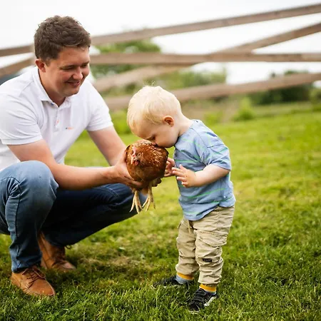 בית נופש Hof Koehne - Haus Waltons 3er *