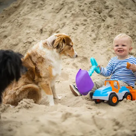 בית נופש Hof Koehne - Haus Waltons 3er *