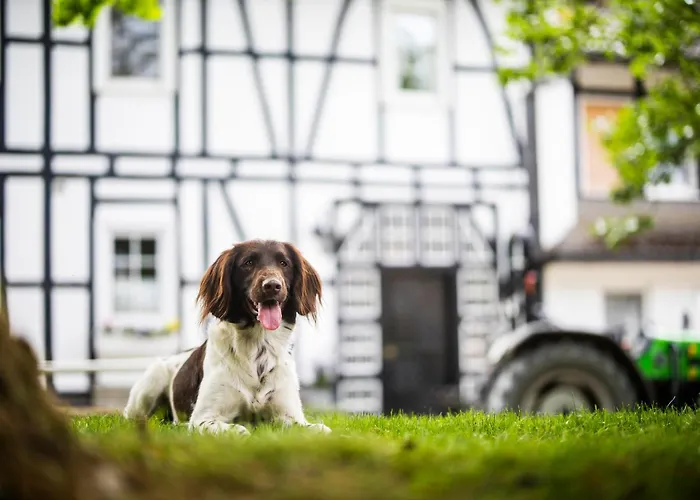 Nyaraló Hof Koehne - Haus Waltons 3er *