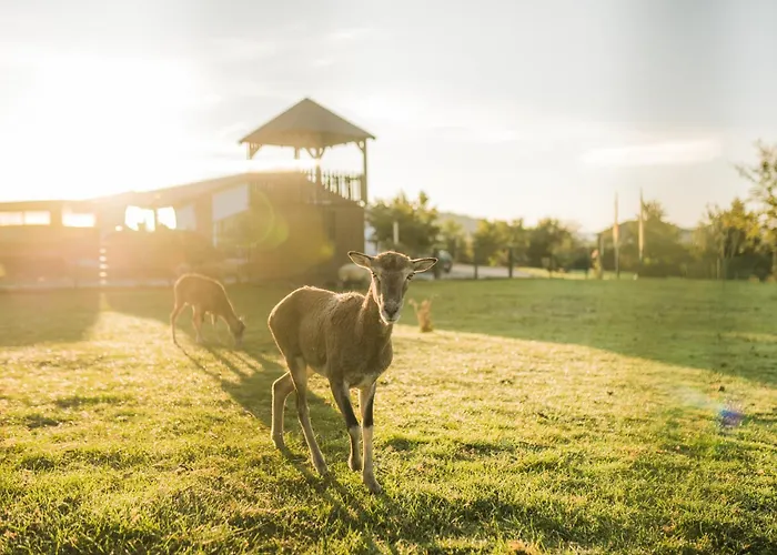 Nyaraló Hof Koehne - Haus Waltons 3er Schmallenberg