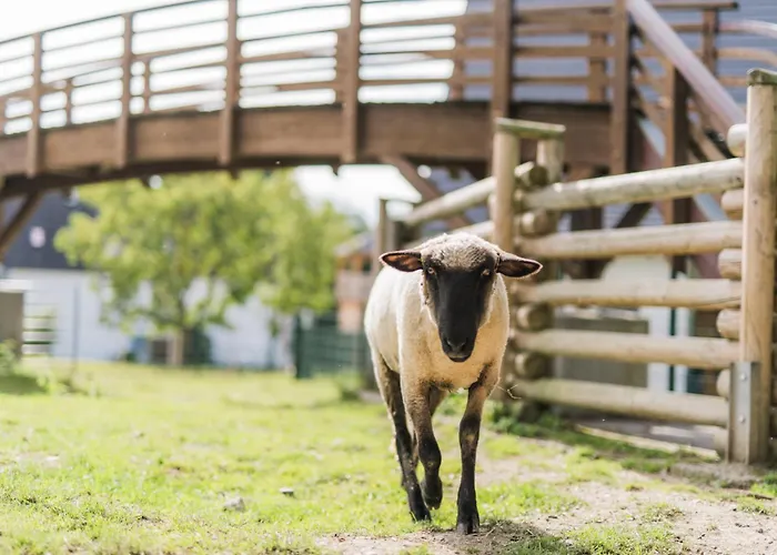 Nyaraló Hof Koehne - Haus Waltons 3er *