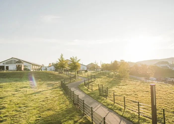 Hof Koehne - Haus Waltons 3er