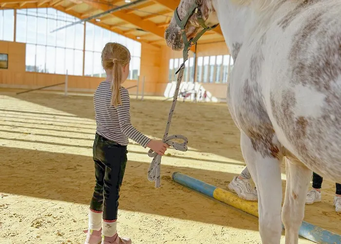 Hof Koehne - Haus Waltons 3er Schmallenberg